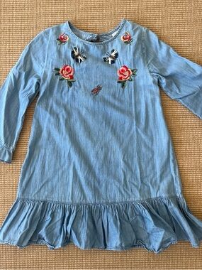 Zara Light Blue Denim Dress with Floral & Insect Embroidery